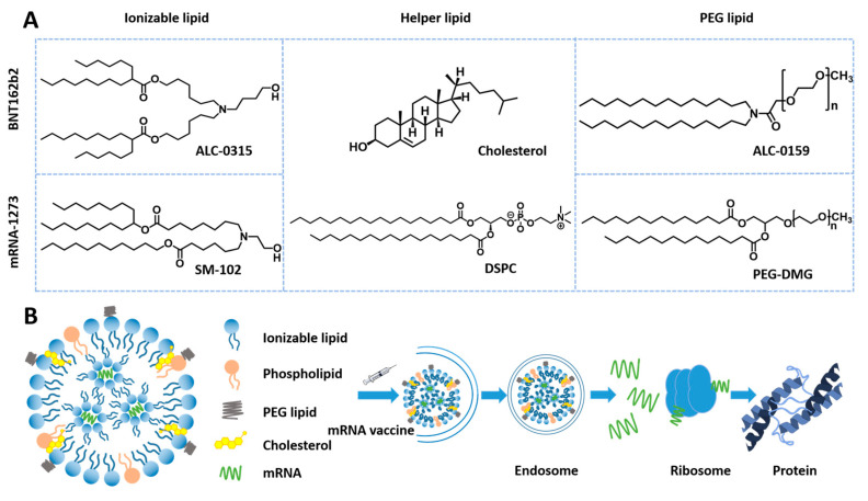 PMC10059816 – pharmaceutics-15-00774-f001