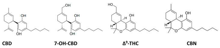 PMC10057149 – pharmaceutics-15-00798-sch001