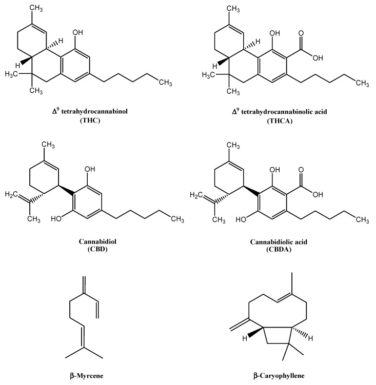 PMC10051841 – pharmaceutics-15-00870-f001