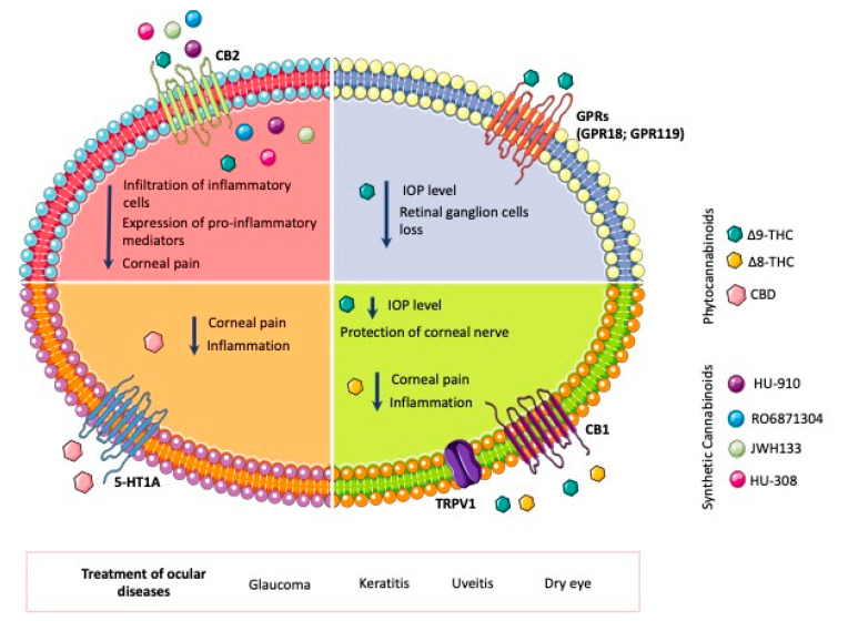 PMC10146987 – pharmaceutics-15-01077-f001