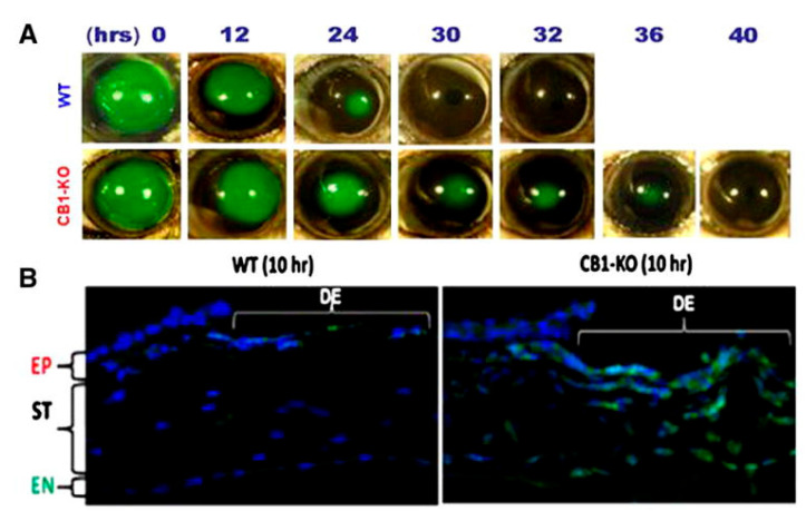 PMC10146987 – pharmaceutics-15-01077-f003