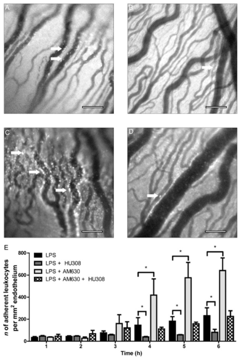 PMC10146987 – pharmaceutics-15-01077-f004