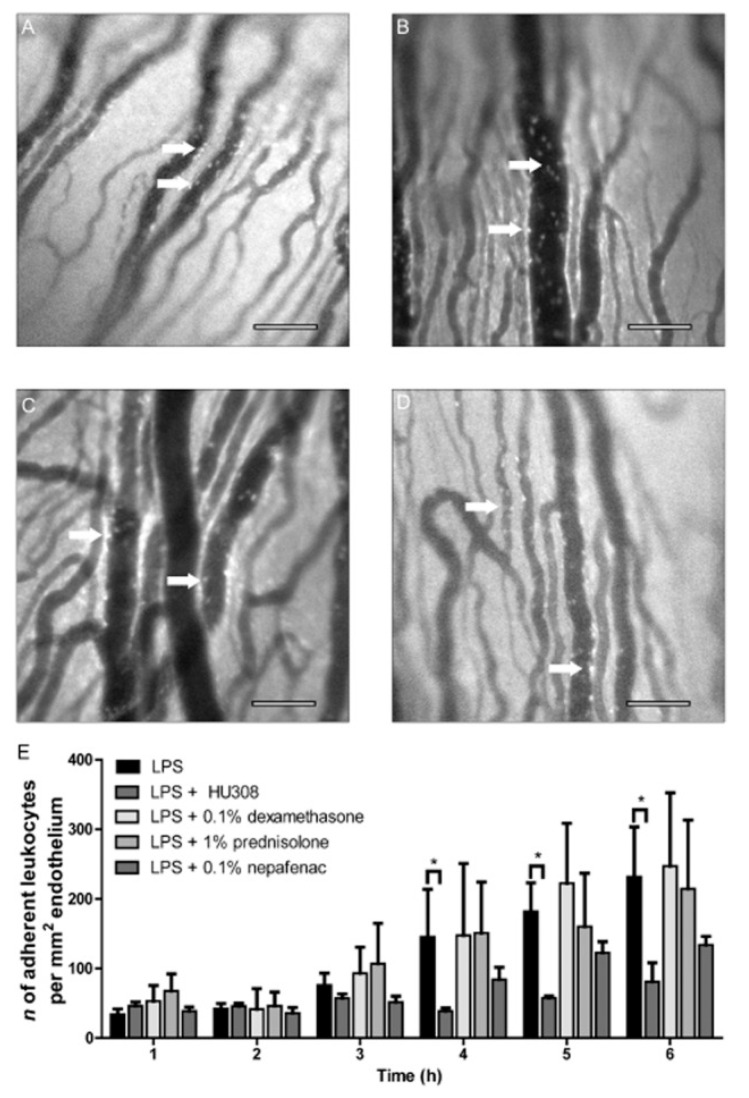 PMC10146987 – pharmaceutics-15-01077-f005
