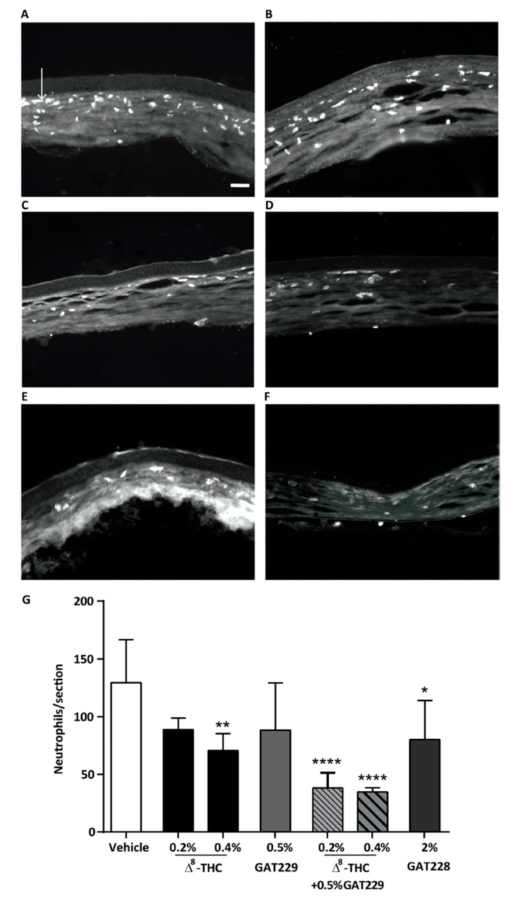PMC10146987 – pharmaceutics-15-01077-f006