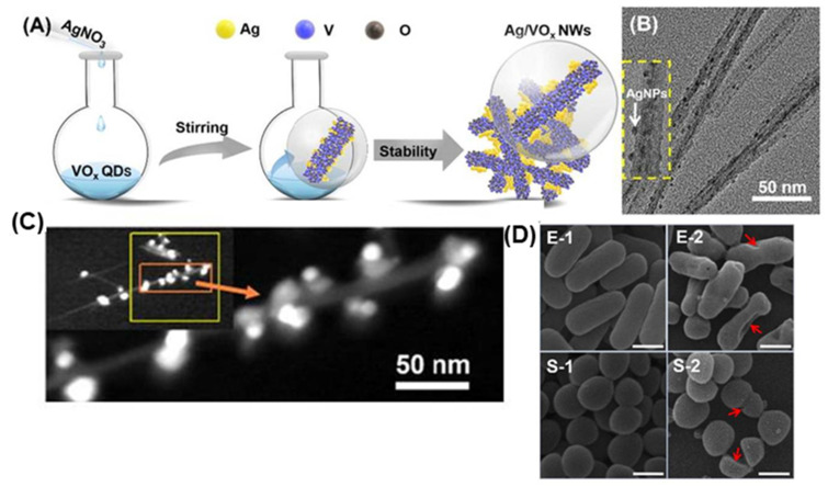 PMC10143535 – pharmaceutics-15-01142-f006