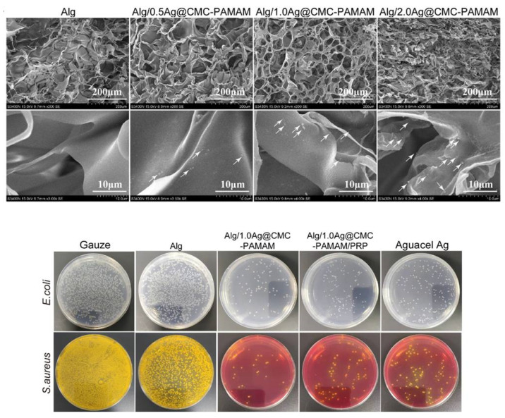 PMC10143535 – pharmaceutics-15-01142-f007