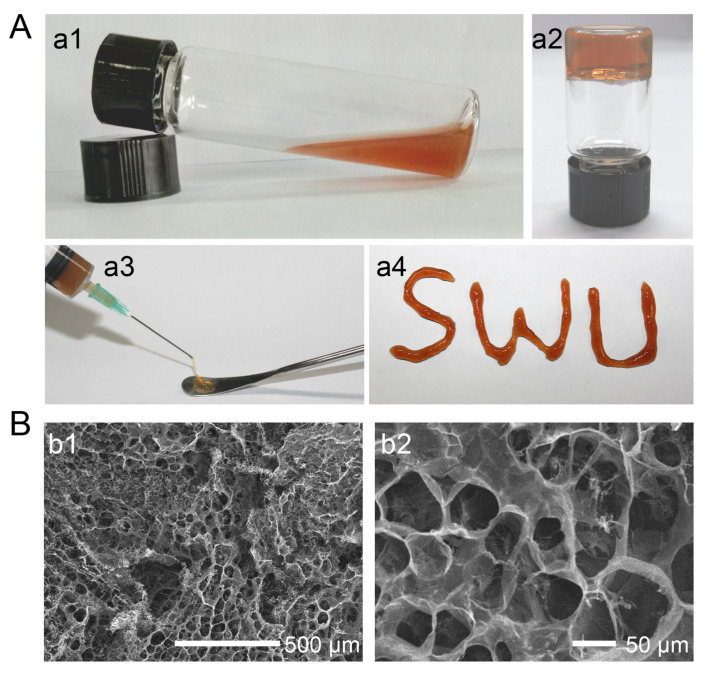 PMC10143535 – pharmaceutics-15-01142-f009