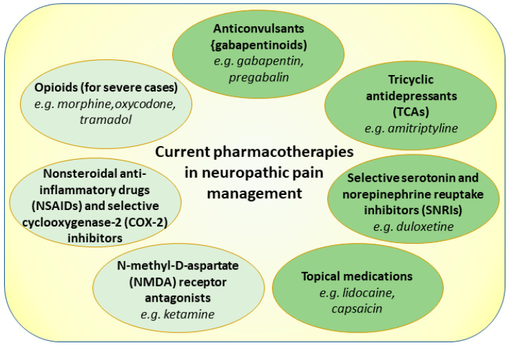 PMC10384314 – pharmaceutics-15-01799-f002