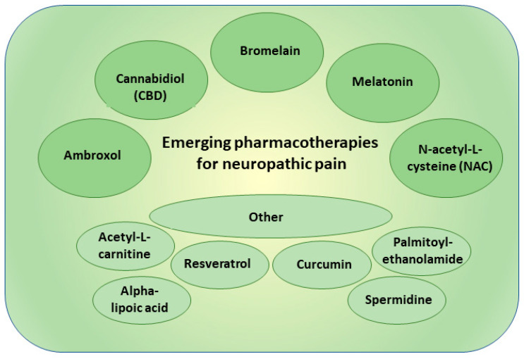 PMC10384314 – pharmaceutics-15-01799-f003
