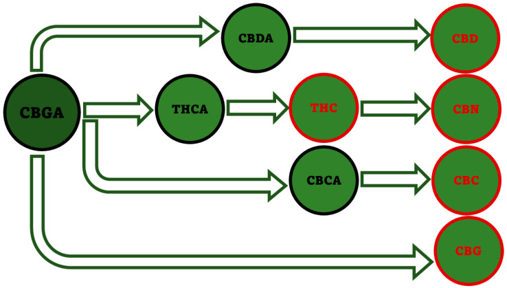 PMC10384972 – pharmaceutics-15-01889-f008