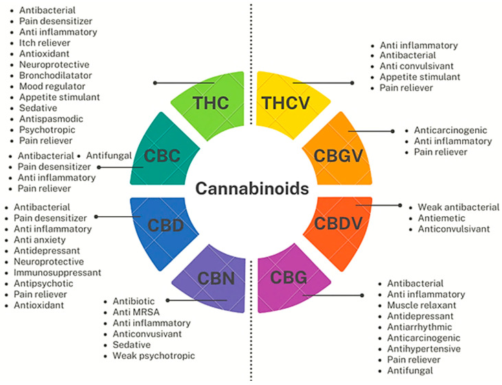 PMC10384972 – pharmaceutics-15-01889-f009