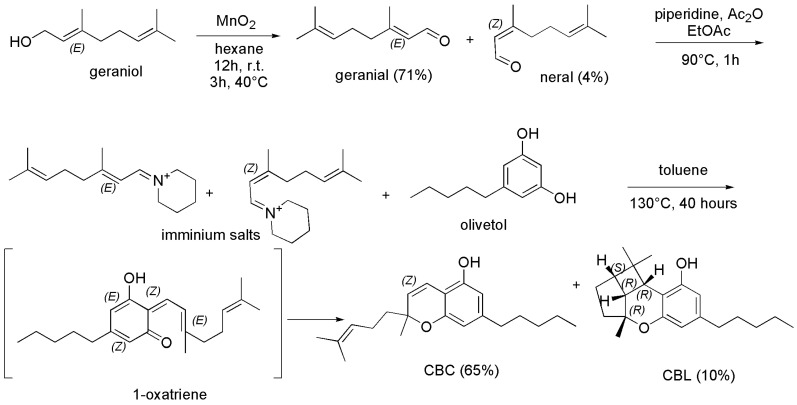PMC10384972 – pharmaceutics-15-01889-sch003
