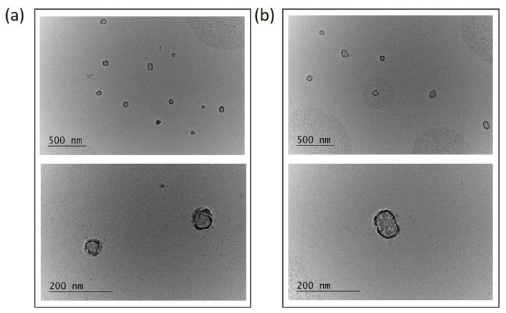 PMC10459144 – pharmaceutics-15-02128-f005