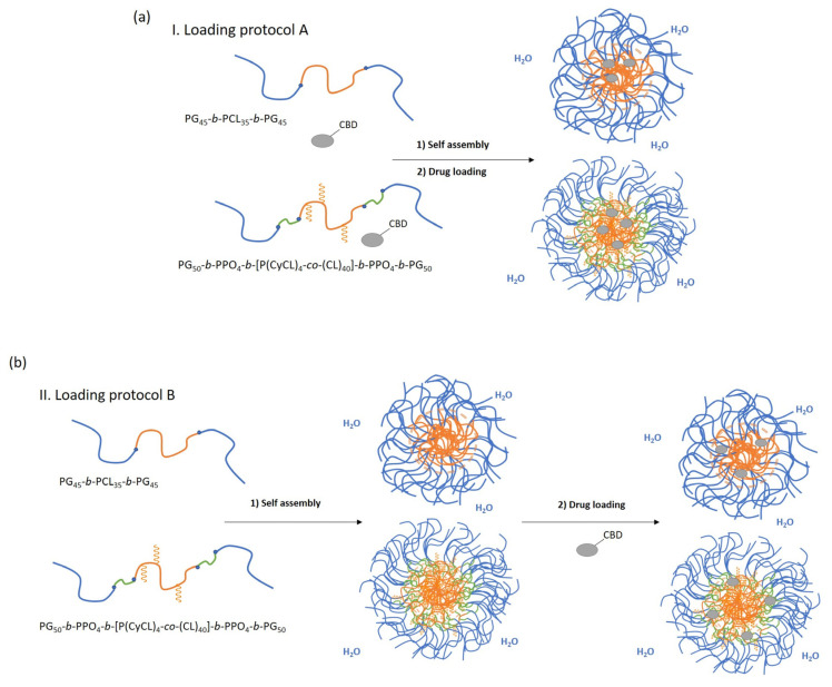 PMC10459144 – pharmaceutics-15-02128-sch001