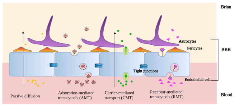PMC10535132 – pharmaceutics-15-02322-f003