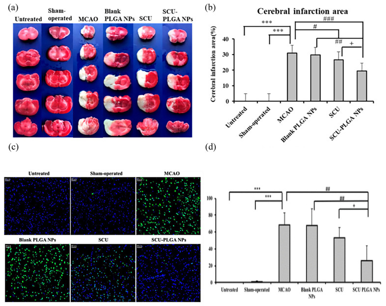 PMC10535132 – pharmaceutics-15-02322-f004