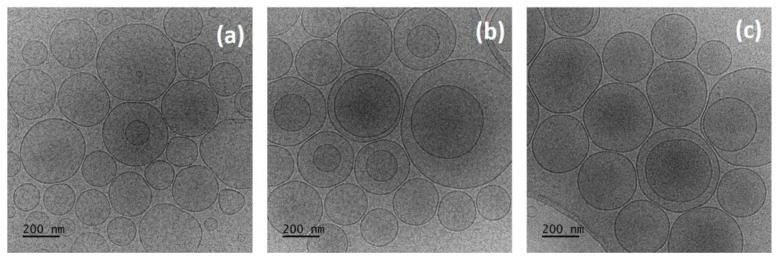 PMC10609774 – pharmaceutics-15-02414-f002