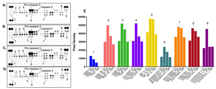 PMC10609774 – pharmaceutics-15-02414-f005