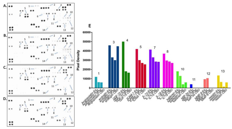 PMC10609774 – pharmaceutics-15-02414-f006