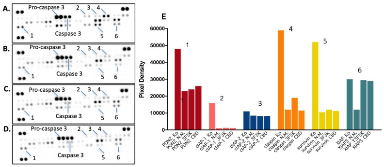 PMC10609774 – pharmaceutics-15-02414-f007
