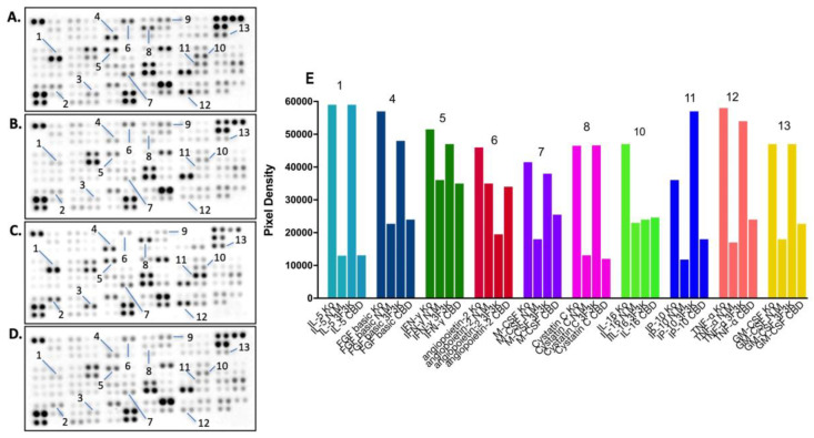 PMC10609774 – pharmaceutics-15-02414-f008