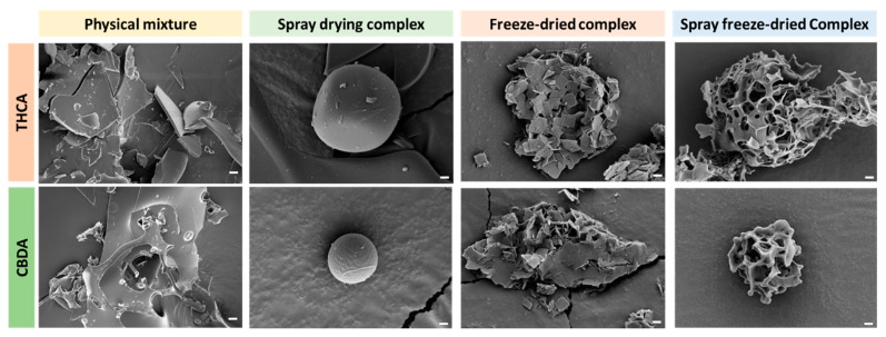 PMC10675134 – pharmaceutics-15-02533-f003