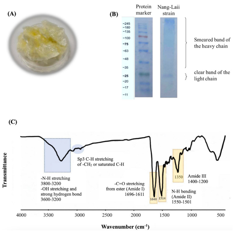 PMC10747745 – pharmaceutics-15-02682-f001
