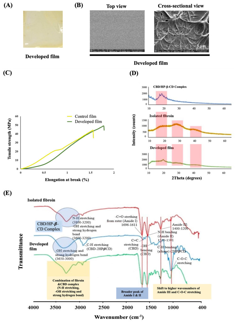 PMC10747745 – pharmaceutics-15-02682-f003