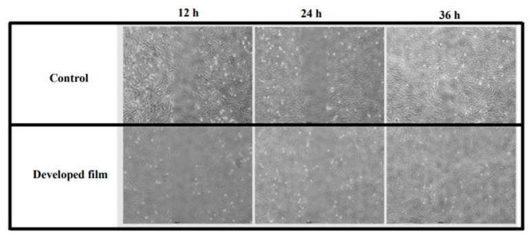 PMC10747745 – pharmaceutics-15-02682-f007