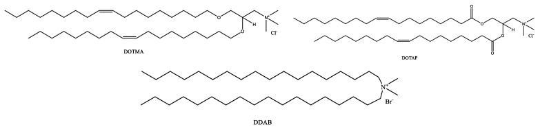 PMC10820119 – pharmaceutics-16-00034-f002