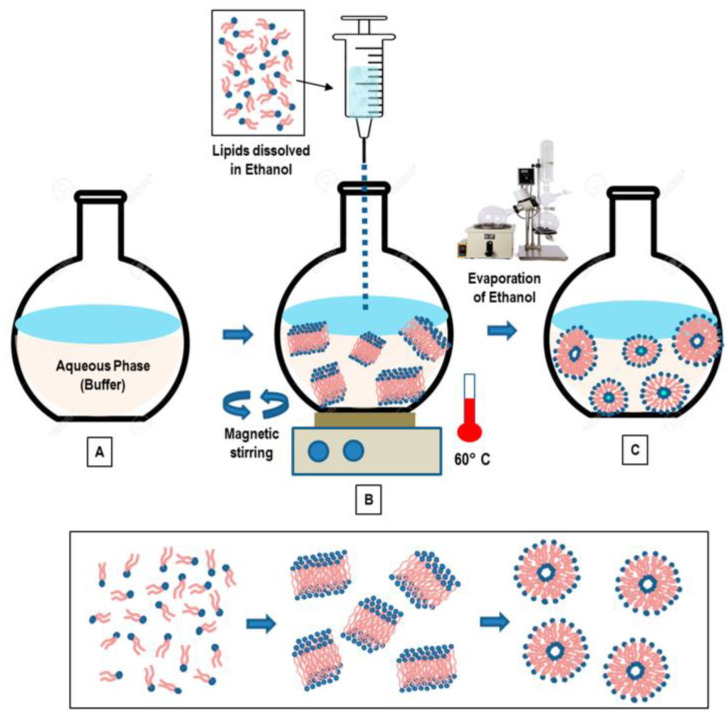 PMC10820119 – pharmaceutics-16-00034-f006