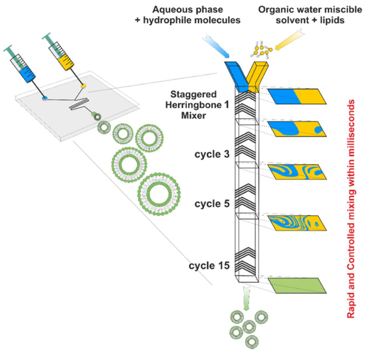 PMC10820119 – pharmaceutics-16-00034-f007