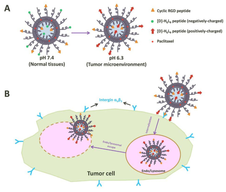 PMC10820119 – pharmaceutics-16-00034-f008