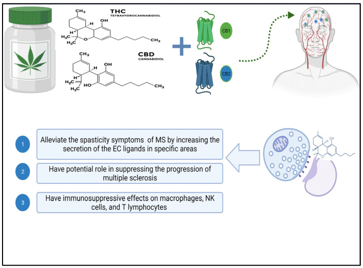 PMC10891830 – pharmaceutics-16-00241-f002