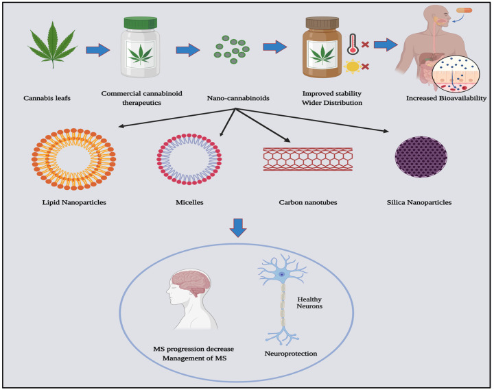 PMC10891830 – pharmaceutics-16-00241-f003