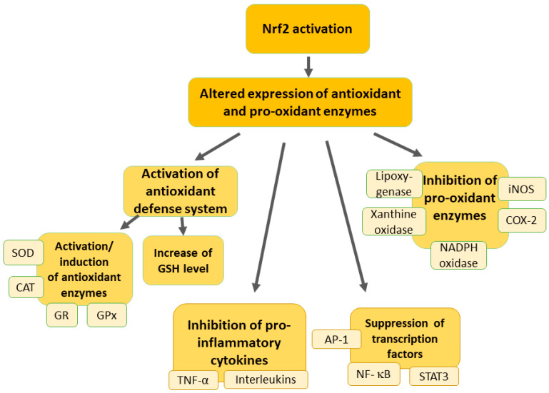 PMC11358986 – pharmaceutics-16-01068-f002
