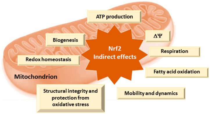 PMC11358986 – pharmaceutics-16-01068-f003