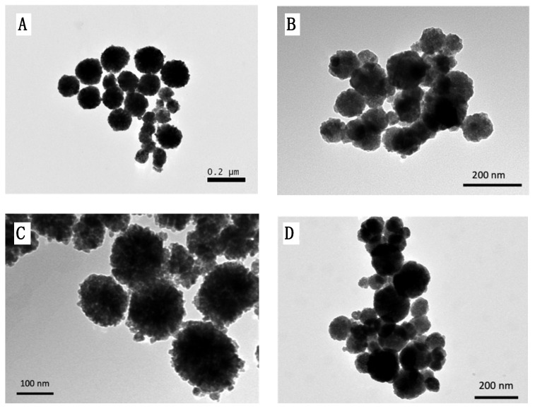 PMC11435388 – pharmaceutics-16-01226-f002