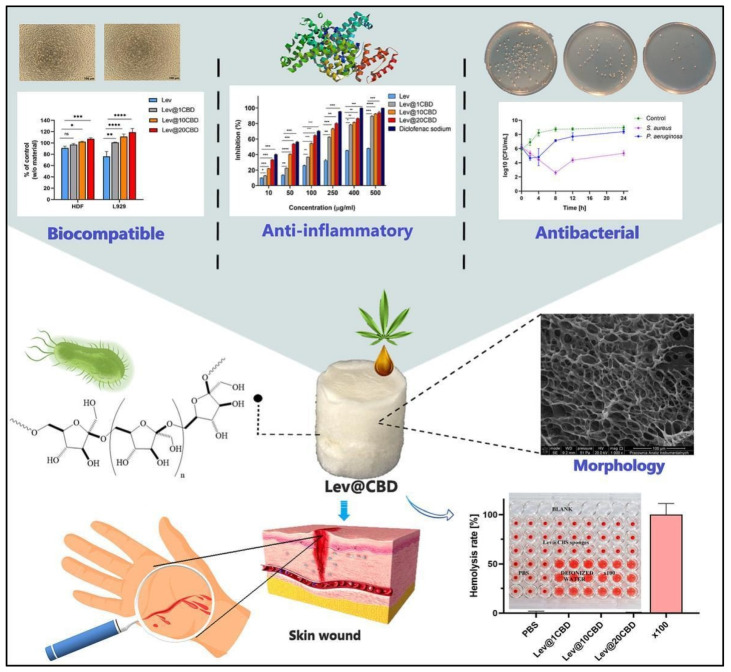 PMC11510192 – pharmaceutics-16-01277-f002