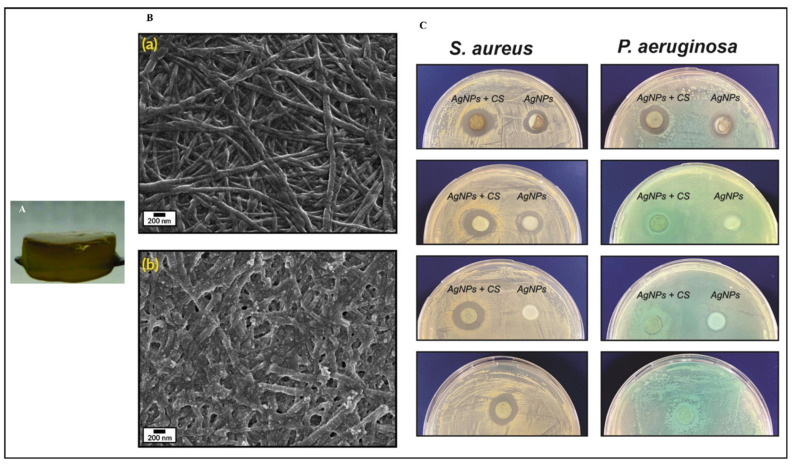 PMC11510192 – pharmaceutics-16-01277-f003