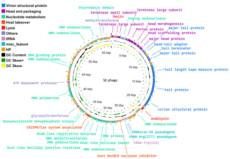PMC11510935 – pharmaceutics-16-01312-f003