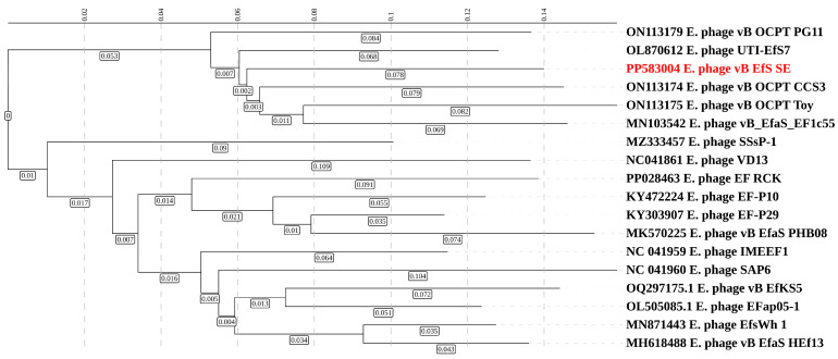 PMC11510935 – pharmaceutics-16-01312-f004