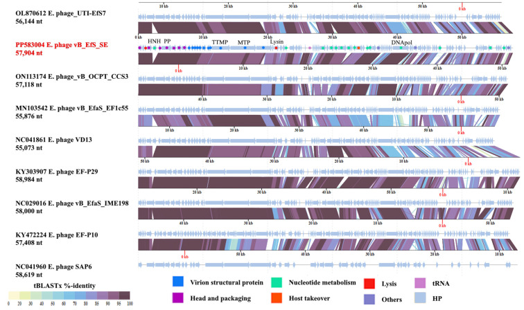 PMC11510935 – pharmaceutics-16-01312-f005