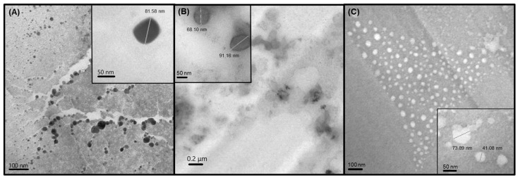 PMC11676254 – pharmaceutics-16-01490-f002