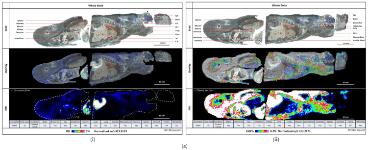 PMC11728838 – pharmaceutics-16-01537-f003