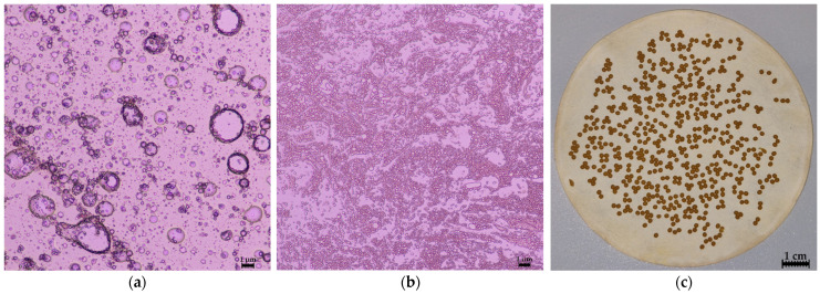PMC11945390 – pharmaceutics-17-00309-f005