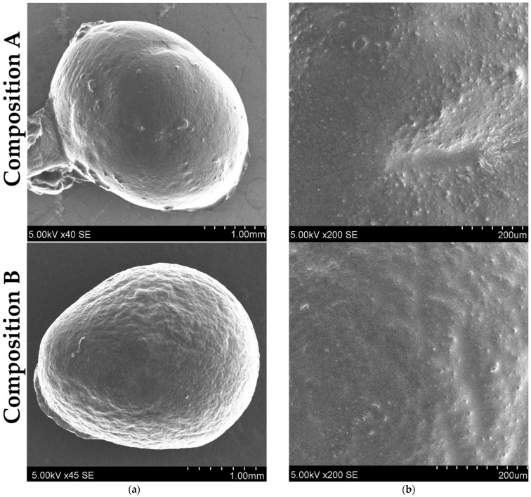 PMC11945390 – pharmaceutics-17-00309-f013