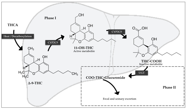 PMC11945156 – pharmaceutics-17-00319-f001