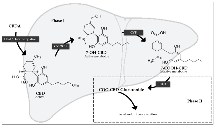 PMC11945156 – pharmaceutics-17-00319-f002