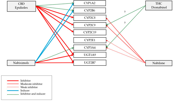 PMC11945156 – pharmaceutics-17-00319-f003